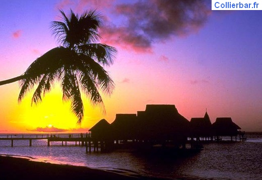 bora 60 (5136 visits) bora 60