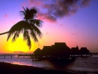 bora 60 (19562 visits) bora 60