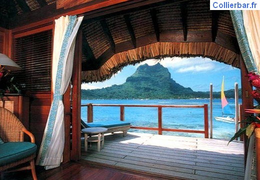 bora 56 (5328 visits) bora 56