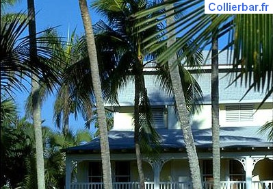 cocotiers (5755 visits) cocotiers