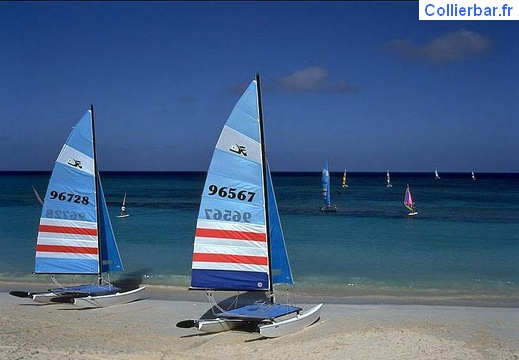 Voile à Paradise (5666 visits) Voile à Paradise