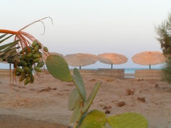 El Gouna la plage