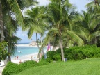 Paradise Island La plage
