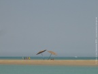 El Gouna parasols (36138 visits) El Gouna parasols