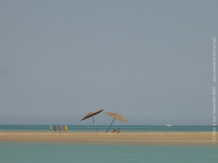 El Gouna parasols