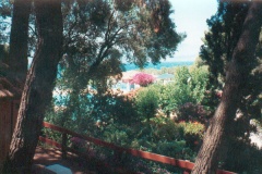 Aighion 1993 