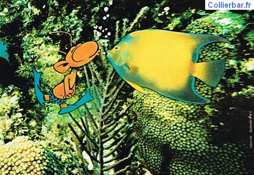 Chouchouter - 1975 (6510 visits) Campagne de presse chouchouter 1975 Chouchouter - 1975
