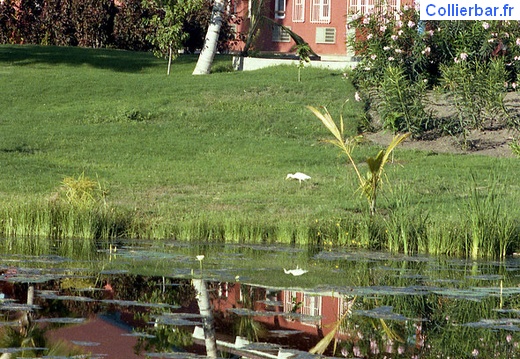 Magic Haiti vue village (6585 visits, rating score 3.23) Dans le village Magic Haiti 1981 Magic Haiti vue village