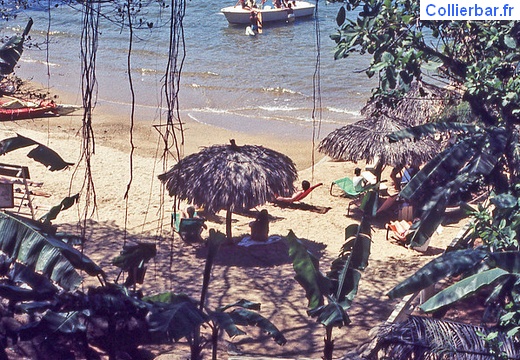 la plage (6488 visits, rating score 4.23) La petite plage la plage