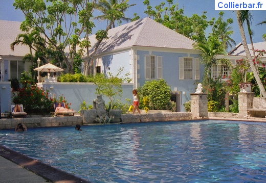 Piscine Paradise (7465 visits, rating score 4.45) La piscine
Paradise Island 2000 Piscine Paradise