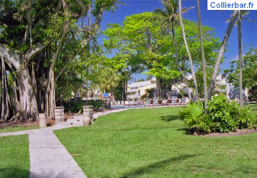 Paradise Island Ete 2000 (7658 visits, rating score 4.23) Du coté de la piscine Paradise Island Ete 2000