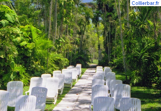 espace concert (7452 visits) Paradise Island Eté 2000 espace concert