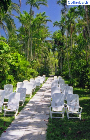 Paradise Island Eté 2000 PAR-musique.jpg
