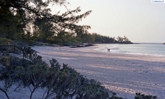 Eleuthera la plage