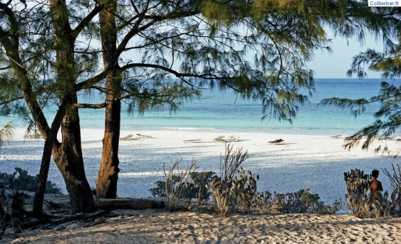 Eleuthera la plage