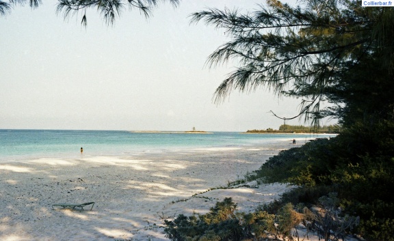 Eleuthera la plage