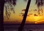 MOO-coucherdesoleil91 (20131 visits) MOO-coucherdesoleil91