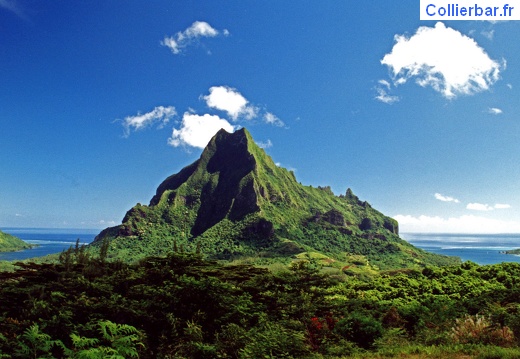 Moorea (6459 visits, rating score 3.26) Moorea