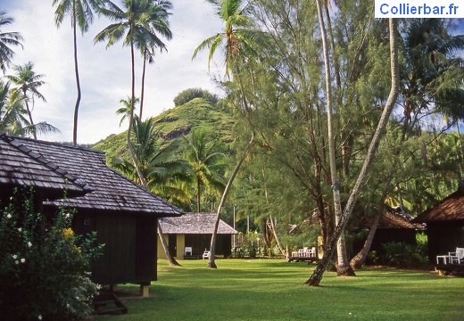 Fares coté jardins (6676 visits) Moorea 1996 Fares coté jardins