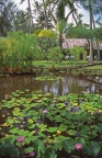 L'etang aux nénuphars (20193 visits, rating score 2.73) Giverny, les jardins de Claude Monet ? Non l'étang aux nénuphars de Moorea !! L'etang aux nénuphars