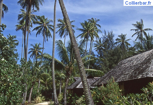 Moorea 1996 (6942 visits) A l'intérieur du village (1996) Moorea 1996