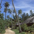 Moorea 1996