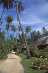 Moorea 1996 (20012 visits, rating score 3.89) A l'intérieur du village (1996) Moorea 1996