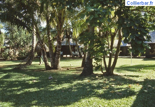 Jardins (6797 visits) Moorea 1996 Jardins