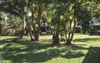 Jardins (20267 visits) Moorea 1996 Jardins