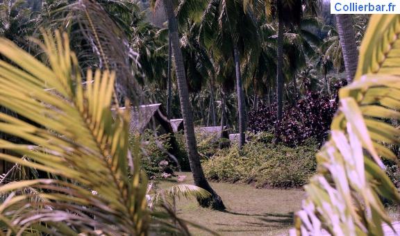 Farés à Moorea 1978