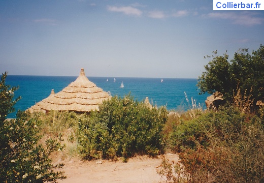 ceaflu 91 (7708 visits, rating score 4.42) Cases vue mer Cefalu 1991 ceaflu 91