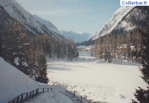 Pontresina 93-2 (5897 visits) Pontresina 93-2
