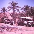 Eilat 1977