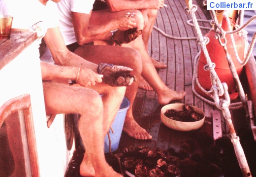 Préparation de l'oursinade Cefalu 1977 (5287 visits) Préparation de l'oursinade Cefalu 1977 Préparation de l'oursinade Cefalu 1977