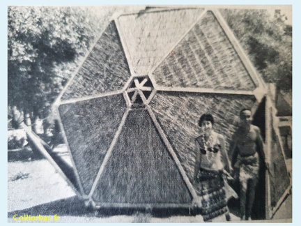 1961
