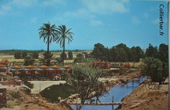 arziv en 1965