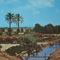 arziv en 1965