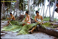 1963 - a Tahiti 08