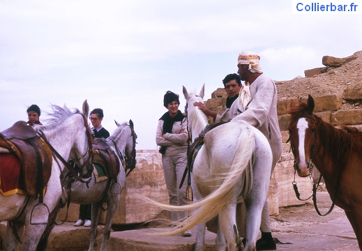 Guizeh - une pause à la Pyramide de Néferhétepès entre Guizeh et Sakkara (1227 visits) Guizeh - une pause à la Pyramide de Néferhétepès entre Guizeh et Sakkara
1969 Palais Manial Guizeh - une pause à la Pyramide de Néferhétepès entre Guizeh et Sakkara