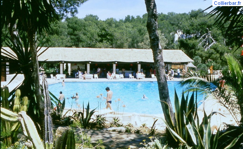 29 pp81.jpg