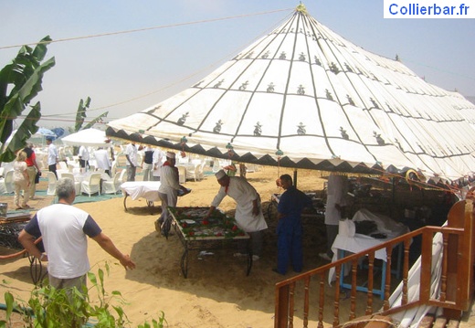 beachparty (1018 visits) beachparty