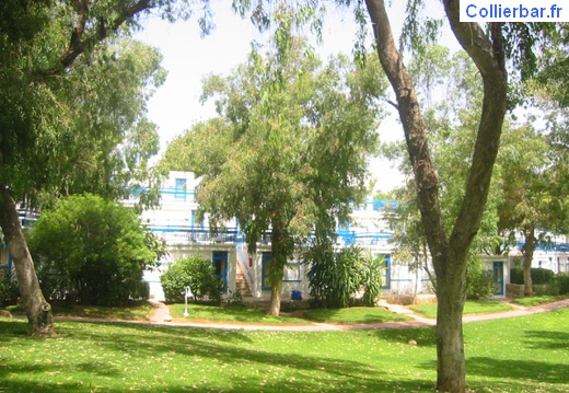 bungalow2 (1042 visits) bungalow2