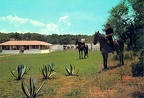 le restaurant du ranch (16228 visits) le restaurant du ranch le restaurant du ranch