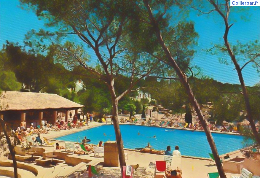 Le bar et la piscine