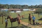 porto petro ranch (17339 visites) porto petro ranch porto petro ranch