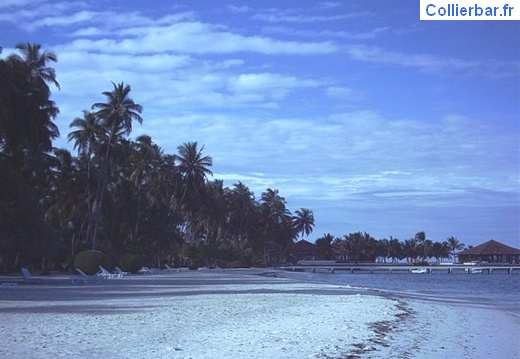 plage1 (553 visits) plage1