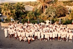 Equipe GO Santa Teresa 1988 (23777 visits, rating score 3.24) Equipe GO Santa Teresa 1988