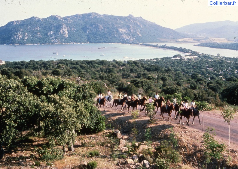 Santa Giulia 1981 (2).jpg