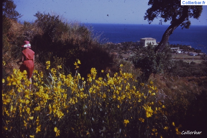 PICT0021.JPG