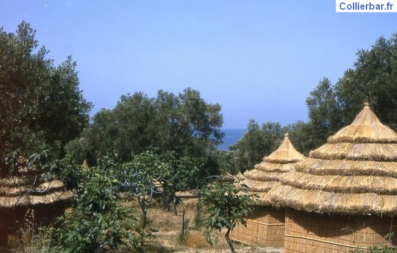 palinuro63